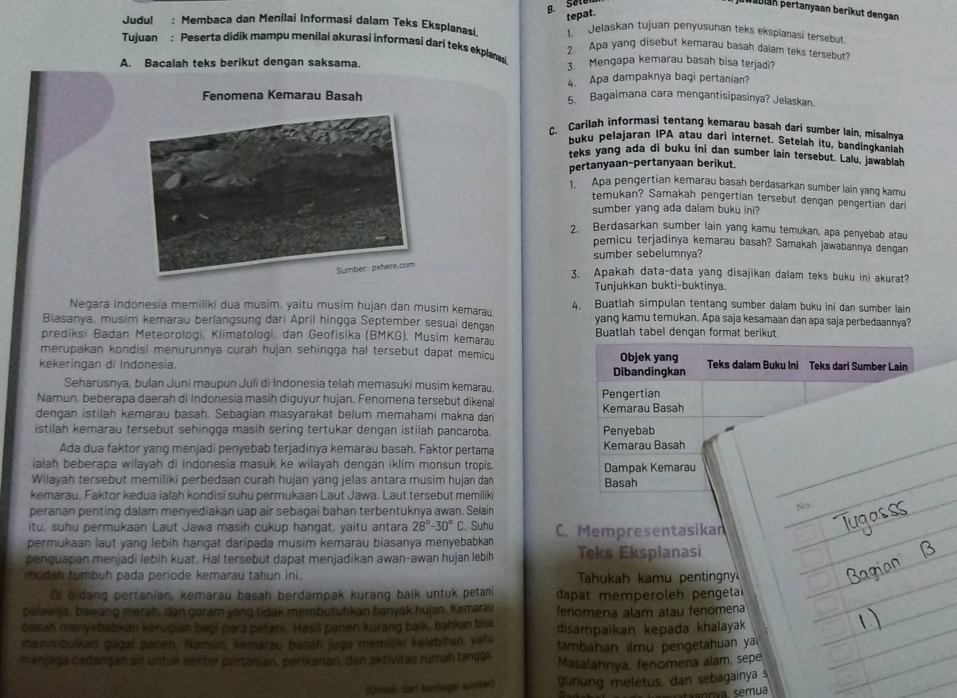 Sete
pwabian pertanyaan berikut dengan
tepat.
Judul : Membaca dan Menilai Informasi dalam Teks Eksplanasi.
1. Jelaskan tujuan penyusunan teks eksplanasi tersebut
Tujuan : Peserta didik mampu menilai akurasi informasi dari teks ekplanasi
2. Apa yang disebut kemarau basah dalam teks tersebut?
A. Bacalah teks berikut dengan saksama 3. Mengapa kemarau basah bisa terjadi?
4. Apa dampaknya bagi pertanian?
Fenomena Kemarau Basah 5. Bagaimana cara mengantisipasinya? Jelaskan
C. Carilah informasi tentang kemarau basah dari sumber lain, misalnya
buku pelajaran IPA atau dari internet. Setelah itu, bandingkanlah
teks yang ada di buku ini dan sumber lain tersebut. Lalu, jawablah
pertanyaan-pertanyaan berikut.
1. Apa pengertian kemarau basah berdasarkan sumber lain yang kamu
temukan? Samakah pengertian tersebut dengan pengertian dari
sumber yang ada dalam buku ini?
2. Berdasarkan sumber lain yang kamu temukan, apa penyebab atau
pemicu terjadinya kemarau basah? Samakah jawabannya dengan
sumber sebelumnya?
3. Apakah data-data yang disajikan dalam teks buku ini akurat?
Tunjukkan bukti-buktinya.
4. Buatlah simpulan tentang sumber dalam buku ini dan sumber lain
Negara Indonesia memiliki dua musim, yaitu musim hujan dan musim kemarau. yang kamu temukan. Apa saja kesamaan dan apa saja perbedaannya?
Biasanya, musim kemarau berlangsung dari April hingga September sesuai dengan
prediksi Badan Meteorologi, Klimatologi, dan Geofisika (BMKG). Musim kemarau Buatlah tabel dengan format berikut.
merupakan kondisi menurunnya curah hujan sehingga hal tersebut dapat memicu 
kekeringan di Indonesia. 
Seharusnya, bulan Juni maupun Juli di Indonesia telah memasuki musim kemarau.
Namun, beberapa daerah di Indonesia masih diguyur hujan. Fenomena tersebut dikenal 
dengan istilah kemarau basah. Sebagian masyarakat belum memahami makna dar 
istilah kemarau tersebut sehingga masih sering tertukar dengan istilah pancaroba. 
Ada dua faktor yang menjadi penyebab terjadinya kemarau basah. Faktor pertama 
ialah beberapa wilayah di Indonesia masuk ke wilayah dengan iklim monsun tropis. 
Wilayah tersebut memiliki perbedaan curah hujan yang jelas antara musim hujan dan 
kemarau. Faktor kedua ialah kondisi suhu permukaan Laut Jawa. Laut tersebut memiliki
peranan penting dalam menyediakan uap air sebagai bahan terbentuknya awan. Selain
itu, suhu permukaan Laut Jawa masih cukup hangat, yaitu antara 28°-30°C C. Suhu
permukaan laut yang lebih hangat daripada musim kemarau biasanya menyebabkan C. Mempresentasikan
penguapan menjadi lebih kuat. Hal tersebut dapat menjadikan awan-awan hujan lebih Teks Eksplanasi
mudah tumbuh pada periode kemarau tahun ini.  Tahukah kamu pentingny
Di bidang pertanian, kemarau basah berdampak kurang baik untuk petani dapat memperoleh pengeta
palawija, bawang merah, dan garam yang tidak membutuhkan banyak hujan. Kemarau fenomena alam atau fenomena
basah menyebabkan kerugian bagi para petani, Hasil panen kurang baik, bahkan bisa disampaikan kepada khalayak
menimbulkan gagal panen, Namun, kémarau basah juga memiliki kelebihan, yaitu
menjaga cadangan air untuk sektor pertanian, perikanan, dan aktivitas rumah tangga tambahan ilmu pengetahuan ya
Masalahnya, fenomena alam, sepe
[Dioish dari berbagal sunter] gunung meletus, dan sebagainya s
n va. semua