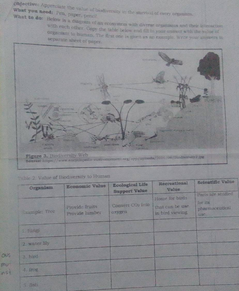 objective: Appreciate the value of biodiversity in the survival of every organism. 
What you need: Pen, paper, penci! 
What to do: Below is a diagram of an ecosystem with diverse organisms and their interaction 
with each other. Copy the table below and fill in your answer with the value of 
organism to human. The first one is given as an example. Write your answers in 
separate sheet 
e 
5 ās