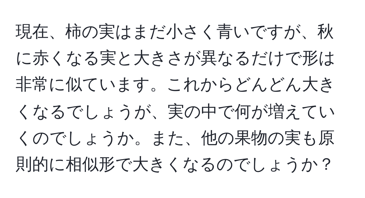 現在、柿の実はまだ小さく青いですが、秋に赤くなる実と大きさが異なるだけで形は非常に似ています。これからどんどん大きくなるでしょうが、実の中で何が増えていくのでしょうか。また、他の果物の実も原則的に相似形で大きくなるのでしょうか？