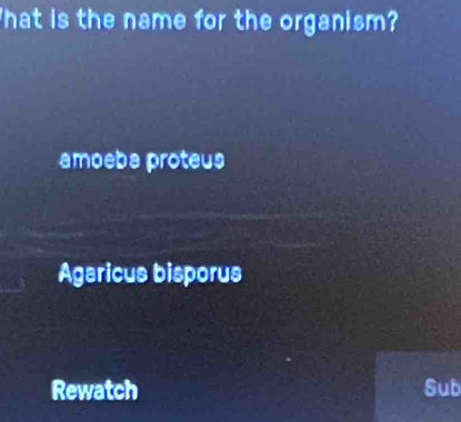 'hat is the name for the organism?
amoeba proteus
Agaricus bisporus
Rewatch Sub