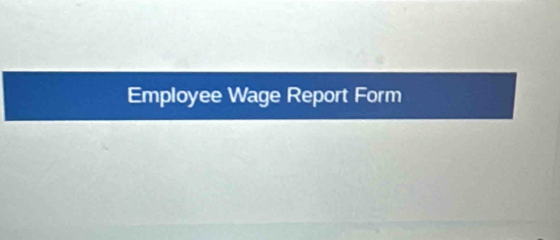 Employee Wage Report Form