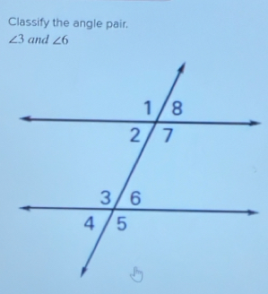 Classify the angle pair.
∠ 3 and ∠ 6