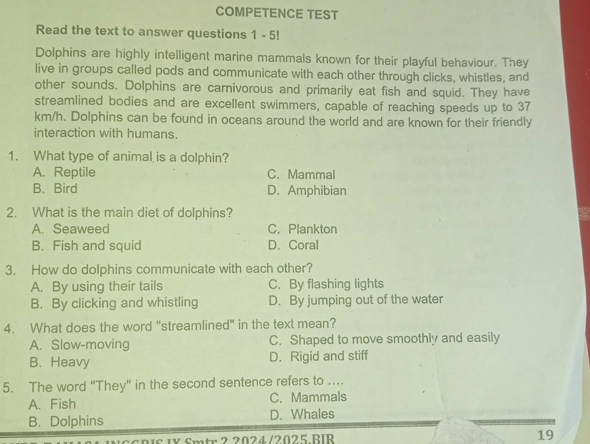 COMPETENCE TEST
Read the text to answer questions 1 - 5!
Dolphins are highly intelligent marine mammals known for their playful behaviour. They
live in groups called pods and communicate with each other through clicks, whistles, and
other sounds. Dolphins are carnivorous and primarily eat fish and squid. They have
streamlined bodies and are excellent swimmers, capable of reaching speeds up to 37
km/h. Dolphins can be found in oceans around the world and are known for their friendly
interaction with humans.
1. What type of animal is a dolphin?
A. Reptile C. Mammal
B. Bird D. Amphibian
2. What is the main diet of dolphins?
is
A. Seaweed C. Plankton
B. Fish and squid D. Coral
3. How do dolphins communicate with each other?
A. By using their tails C. By flashing lights
B. By clicking and whistling D. By jumping out of the water
4. What does the word "streamlined" in the text mean?
A. Slow-moving C. Shaped to move smoothly and easily
B. Heavy D. Rigid and stiff
5. The word "They" in the second sentence refers to ....
A. Fish C. Mammals
B. Dolphins D. Whales
Smtr 2.2024/2025.BIR 19