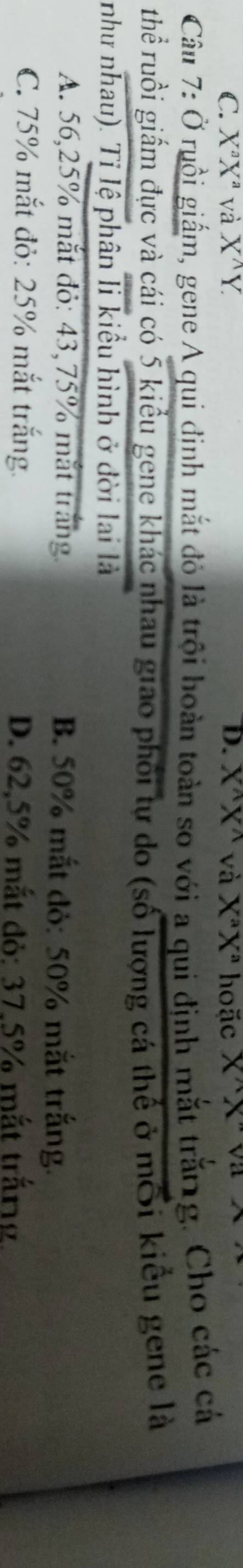 X^aX^a và X^(wedge)Y. D. X^(wedge)X^(wedge) và X^aX^a hoặc X'X'
Câm 7: Ở ruồi giấm, gene A qui đinh mắt đỏ là trội hoàn toàn so với a qui định mắt trắng. Cho các cá
Thể ruồi giấm đực và cái có 5 kiểu gene khác nhau giao phối tự do (số lượng cá thể ở mối kiểu gene là
như nhau). Tỉ lệ phân li kiểu hình ở đời lai là
A. 56,25% mắt đỏ: 43, 75% mắt trắng B. 50% mắt đỏ: 50% mắt trắng.
C. 75% mắt đỏ: 25% mắt trắng. D. 62,5% mắt đỏ: 37,5% mắt trắng