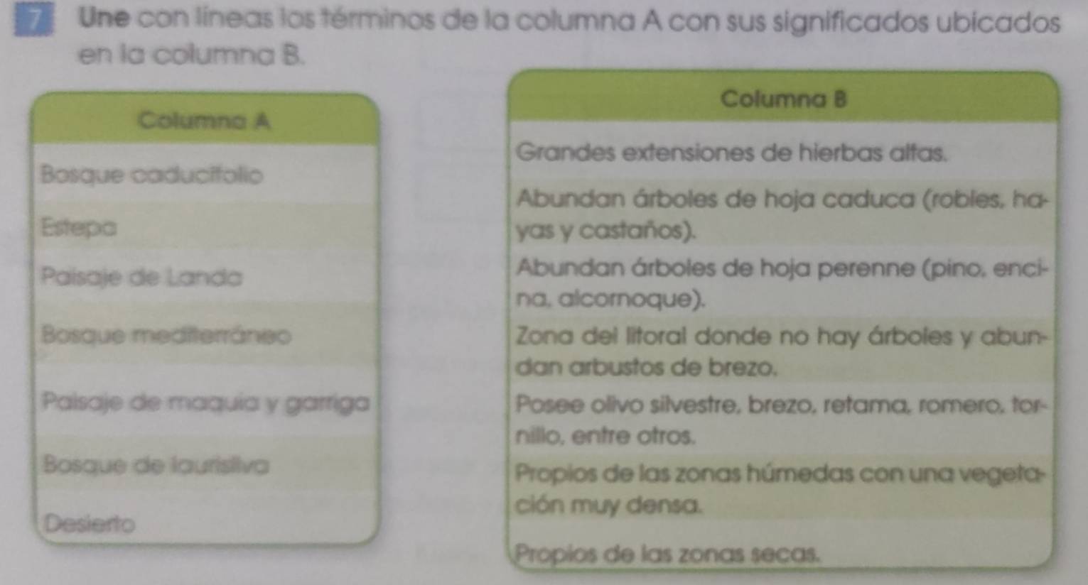 Une con líneas los términos de la columna A con sus significados ubicados 
en la columna B. 
Columna B 
Columna A 
Grandes extensiones de hierbas alfas. 
Bosque caducifolio 
Abundan árboles de hoja caduca (robles, ha- 
Estepa yas y castaños). 
Paisaje de Landa 
Abundan árboles de hoja perenne (pino, enci- 
na, alcornoque). 
Bosque mediterráneo Zona del litoral donde no hay árboles y abun- 
dan arbustos de brezo. 
Palsaje de maquia y garriga Posee olivo silvestre, brezo, retama, romero, tor- 
nillo, entre otros. 
Bosque de lauristiva Propios de las zonas húmedas con una vegeta- 
ción muy densa. 
Desierto 
Propios de las zonas secas.