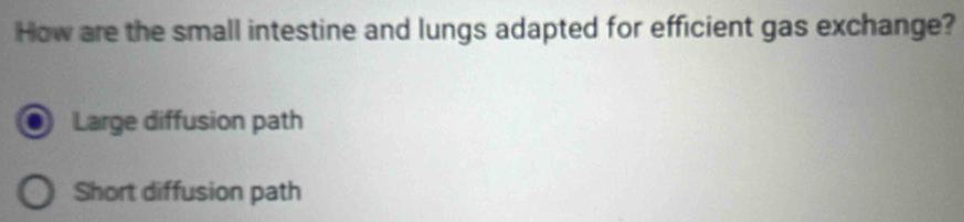 How are the small intestine and lungs adapted for efficient gas exchange?
Large diffusion path
Short diffusion path