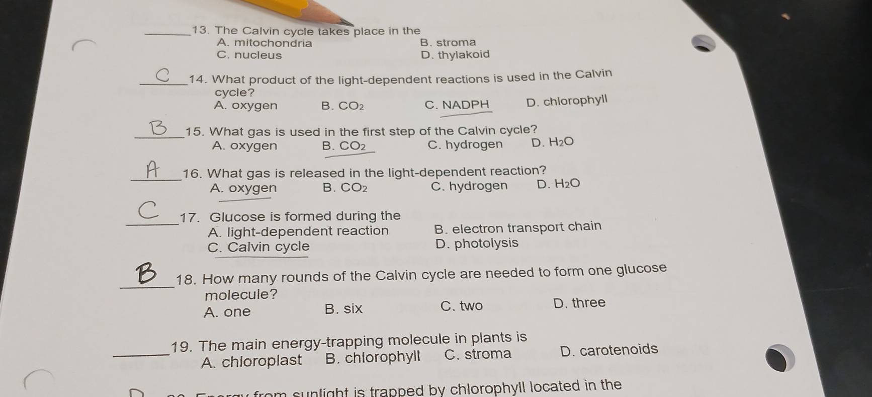 The Calvin cycle takes place in the
A. mitochondria B. stroma
C. nucleus D. thylakoid
_14. What product of the light-dependent reactions is used in the Calvin
cycle?
A. oxygen B. CO_2 C. NADPH D. chlorophyll
_15. What gas is used in the first step of the Calvin cycle?
A. oxygen B. CO2 C. hydrogen D. 1 H_2O 20
_16. What gas is released in the light-dependent reaction?
A. oxygen B. CO2 C. hydrogen D. H_2O
_
17. Glucose is formed during the
A. light-dependent reaction B. electron transport chain
C. Calvin cycle D. photolysis
_
18. How many rounds of the Calvin cycle are needed to form one glucose
molecule?
C. two
A. one B. six D. three
19. The main energy-trapping molecule in plants is
_A. chloroplast B. chlorophyll C. stroma D. carotenoids
from sunlight is trapped by chlorophyll located in the