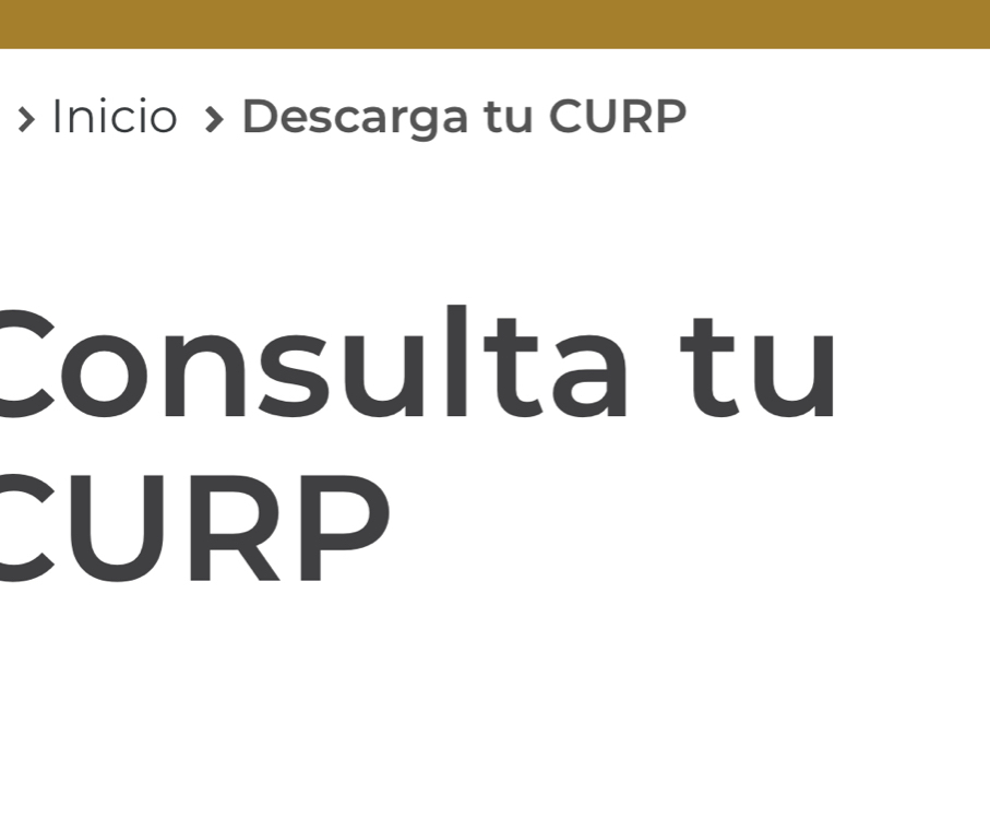 > Inicio > Descarga tu CURP 
Consulta tu 
CURP