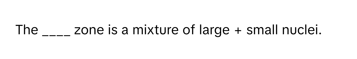 The ____ zone is a mixture of large + small nuclei.