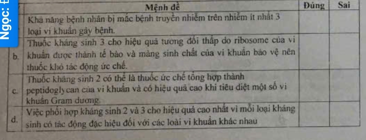 Mệ đề Đúng Sai