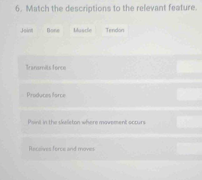 Match the descriptions to the relevant feature.
Joint Bone Muscle Tendon
Transmits force
Produces force
Point in the skeleton where movement occurs
Receives force and moves