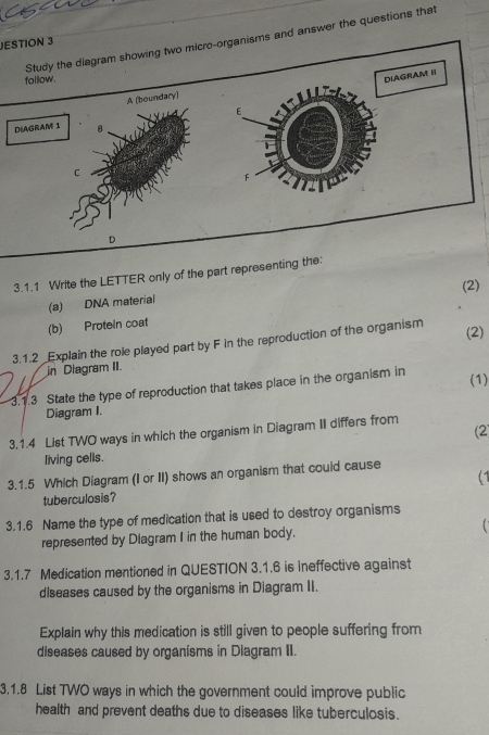 Study the diagram showing two micro-organisms and answer the questions that 
JESTION 3 
follow. 
DIAGRAM II 
A (boundary) 
E 
DIAGRAM 1 B 
C 

D 
3.1.1 Write the LETTER only of the part representing the: 
(a) DNA material (2) 
(b) Protein coat 
3.1.2 Explain the role played part by F in the reproduction of the organism (2) 
in Diagram II. 
3.1.3 State the type of reproduction that takes place in the organism in (1) 
Diagram I. 
3.1.4 List TWO ways in which the organism in Diagram II differs from 
(2 
living cells. 
3.1.5 Which Diagram (I or II) shows an organism that could cause 
tuberculosis? (1 
3.1.6 Name the type of medication that is used to destroy organisms 
represented by Diagram I in the human body. 
3.1.7 Medication mentioned in QUESTION 3.1.6 is ineffective against 
diseases caused by the organisms in Diagram II. 
Explain why this medication is still given to people suffering from 
diseases caused by organisms in Diagram II. 
3.1.8 List TWO ways in which the government could improve public 
health and prevent deaths due to diseases like tuberculosis.