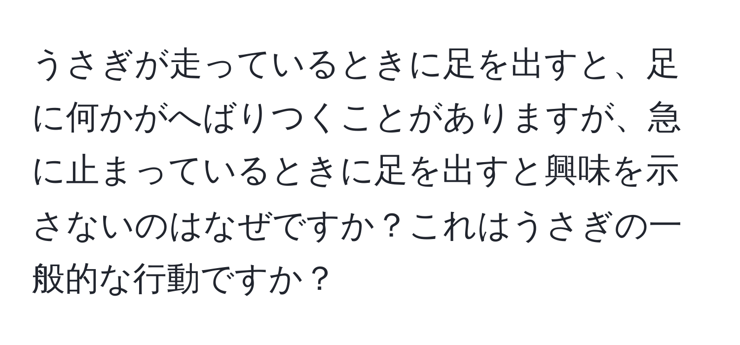 うさぎが走っているときに足を出すと、足に何かがへばりつくことがありますが、急に止まっているときに足を出すと興味を示さないのはなぜですか？これはうさぎの一般的な行動ですか？