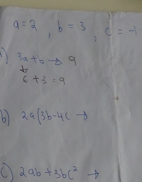 a=2, b=3 c=-1
3a+bto 9
6+3=9
2a(3b-4c-8)
O 2ab+3bc^2