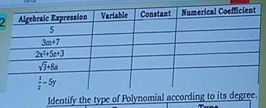 Identify the type of Polynomial a