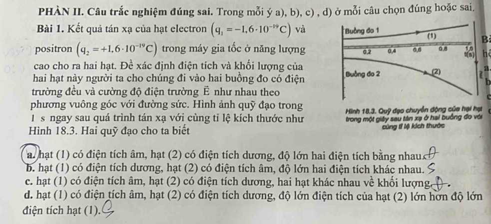 PHÀN II. Câu trắc nghiệm đúng sai. Trong mỗi ý a), b), c) , d) ở mỗi câu chọn đúng hoặc sai.
Bài 1. Kết quả tán xạ của hạt electron (q_1=-1,6· 10^(-19)C) và *Buồng đo 1 (1) B
positron (q_2=+1,6· 10^(-19)C) trong máy gia tốc ở năng lượng 0, 2 0, 4 0.6 0.8 hé
cao cho ra hai hạt. Đề xác định điện tích và khối lượng của (2) a
hai hạt này người ta cho chúng đi vào hai buồng đo có điện Buồng đo 2
trường đều và cường độ điện trường Ả như nhau theo
C 
phương vuông góc với đường sức. Hình ảnh quỹ đạo trong
Hình 18.3. Quỹ đạo chuyển động của hại hại
I s ngay sau quá trình tán xạ với cùng tỉ lệ kích thước như trong một giây sau tân xạ ở hai buồng đo với
Hình 18.3. Hai quỹ đạo cho ta biết cúng tỉ lộ kích thước
a. hạt (1) có điện tích âm, hạt (2) có điện tích dương, độ lớn hai điện tích bằng nhau
b. hạt (1) có điện tích dương, hạt (2) có điện tích âm, độ lớn hai điện tích khác nhau.
c. hạt (1) có điện tích âm, hạt (2) có điện tích dương, hai hạt khác nhau về khối lượng
d. hạt (1) có điện tích âm, hạt (2) có điện tích dương, độ lớn điện tích của hạt (2) lớn hơn độ lớn
điện tích hạt (1).