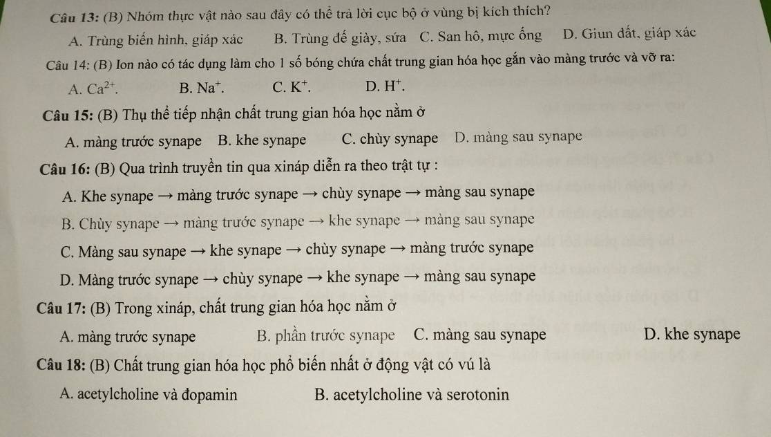 Nhóm thực vật nào sau dây có thể trả lời cục bộ ở vùng bị kích thích?
A. Trùng biển hình, giáp xác B. Trùng đế giày, sứa C. San hô, mực ống D. Giun đất, giáp xác
Câu 14: (B) Ion nào có tác dụng làm cho 1 số bóng chứa chất trung gian hóa học gắn vào màng trước và vỡ ra:
A. Ca^(2+). B. Na^+. C. K⁺. D. H⁺.
Câu 15: (B) Thụ thể tiếp nhận chất trung gian hóa học nằm ở
A. màng trước synape B. khe synape C. chùy synape D. màng sau synape
Câu 16: (B) Qua trình truyền tin qua xináp diễn ra theo trật tự :
A. Khe synape → màng trước synape → chùy synape → màng sau synape
B. Chùy synape → màng trước synape → khe synape → màng sau synape
C. Màng sau synape → khe synape → chùy synape → màng trước synape
D. Màng trước synape → chùy synape → khe synape → màng sau synape
Câu 17: (B) Trong xináp, chất trung gian hóa học nằm ở
A. màng trước synape B. phần trước synape C. màng sau synape D. khe synape
Câu 18: (B) Chất trung gian hóa học phổ biến nhất ở động vật có vú là
A. acetylcholine và đopamin B. acetylcholine và serotonin