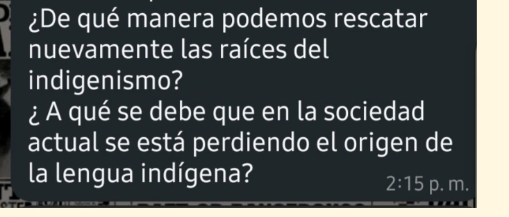 ¿De qué manera podemos rescatar 
nuevamente las raíces del 
indigenismo? 
¿ A qué se debe que en la sociedad 
actual se está perdiendo el origen de 
la lengua indígena?
2:15 p. m.