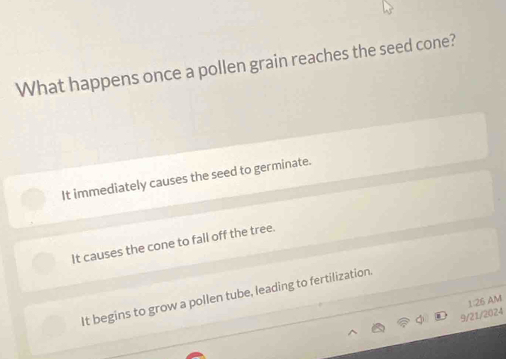 What happens once a pollen grain reaches the seed cone?
It immediately causes the seed to germinate.
It causes the cone to fall off the tree.
It begins to grow a pollen tube, leading to fertilization.
1:26 AM
n 9/21/2024