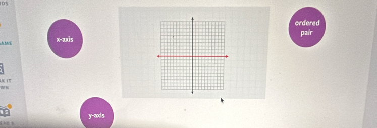 DS 
ordered 
pair 
AME x - a x
W N 
y-axis