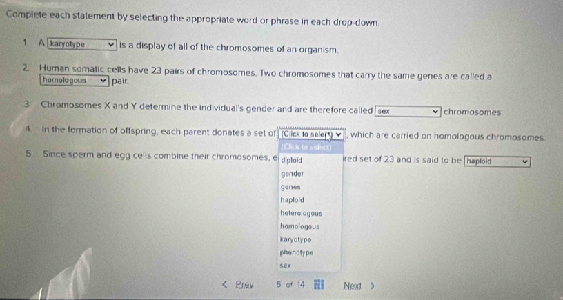 Complete each statement by selecting the appropriate word or phrase in each drop-down.
1. A karyotype is a display of all of the chromosomes of an organism.
2. Human somatic cells have 23 pairs of chromosomes. Two chromosomes that carry the same genes are called a
homologous pair.
3 Chromosomes X and Y determine the individual's gender and are therefore called sex chromosomes
4. in the formation of offspring, each parent donates a set of (Click to seler , which are carried on homologous chromosomes
(Click to seleci)
5 Since sperm and egg cells combine their chromosomes, e diploid red set of 23 and is said to be haploid v
gender
genes
haploid
heterologous
hamologous
karyotype
phenotype
sex
Prev 5 of 14 Next >