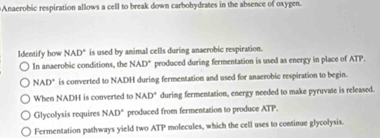 Anaerobic respiration allows a cell to break down carbohydrates in the absence of oxygen. 
Identify how NAD * is used by animal cells during anaerobic respiration. 
In anaerobic conditions, the NAD° produced during fermentation is used as energy in place of ATP.
NAD^+ is converted to NADH during fermentation and used for anaerobic respiration to begin. 
When NADH is converted to NAD^+ during fermentation, energy needed to make pyruvate is released. 
Glycolysis requires NAD° produced from fermentation to produce ATP. 
Fermentation pathways yield two ATP molecules, which the cell uses to continue glycolysis.