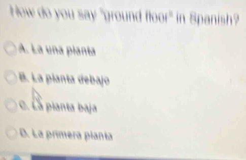 How do you say "ground floor" in Spanish?
A. La una pianta
B. La pianta debajo
C. Là pianta baja
D. La primera planía