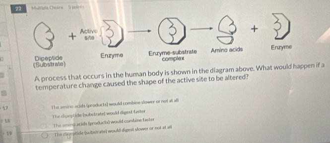 Multiale Choice 5 points
(Substrate)
A process that occurs in the human body is shown in the diagram above. What would
temperature change caused the shape of the active site to be altered?
17 T he amino acids (products) would combine slower or not at all
》 LB The dipeptide (substrate) would digest faster
= 19 The aming acids (products) would combine faster
The dceptide (substrate) would digest slower or not at all