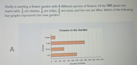 Shelly is starting a flower garden with 4 different species of flowers. Of the 360 plants she
starts with,  1/3  are daisies,  1/6  are tulips,  4/9  are roses, and the rest are lillies. Which of the following
bar graphs represents her new garden?
A 
Number of Plants