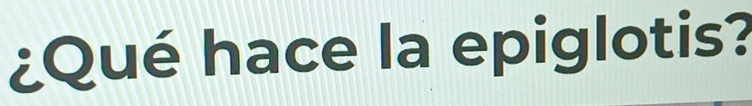 ¿Qué hace la epiglotis?