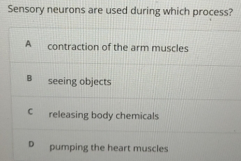 Sensory neurons are used during which process?
A contraction of the arm muscles
B€ seeing objects
C releasing body chemicals
D pumping the heart muscles