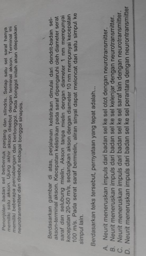 Penonjolan badan sel berbentuk panjang dan silindris. Setiap satu sel saraf hanya
memiliki satu akson. Ujung akhir akson disebut dengan terminal akson. Terminal ini
memiliki beberapa percabangan dan berbonggol. Pada bonggol inilah akan dilepaskan
neurotransmitter dan disebut sebagai bonggol sinapsis.
Berdasarkan gambar di atas, perjalanan kelistrikan dimulai dari dendrit-badan sel-
akson-terminal akson. Kecepatan kelistrikan pada saraf dipengaruhi oleh diameter serat
saraf dan selubung mielin. Akson tanpa mielin dengan diameter 1 nm mempunyai
kecepatan 20-50 m/s, sedangkan akson dengan diameter 10 nm mempunyai kecepatan
100 m/s. Pada serat saraf bermielin, aliran sinyal dapat meloncat dari satu simpul ke
simpul lain.
Berdasarkan teks tersebut, pernyataan yang tepat adalah...
A. Neurit meneruskan impuls dari badan sel ke sel otot dengan neurotransmitter.
B. Neurit meneruskan impuls dari badan sel ke sel kelenjar dengan neurotransmitter.
C. Neurit meneruskan impuls dari badan sel ke sel saraf lain dengan neurotransmitter.
D. Neurit meneruskan impuls dari badan sel ke sel perantara dengan neurontransmitter