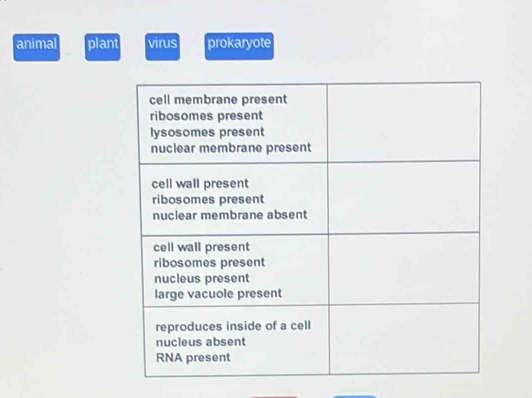 animal plant virus prokaryote