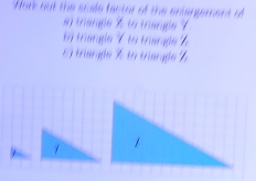 Hork not the scate tentor of the entergement o 
s trangle % to trangle 9
1 triangle 7 to trang 7
5) triangle % to triangle %