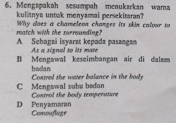 Mengapakah sesumpah menukarkan warna
kulitnya untuk menyamai persekitaran?
Why does a chameleon changes its skin colour to
match with the surrounding?
A Sebagai isyarat kepada pasangan
As a signal to its mate
B Mengawal keseimbangan air di dalam
badan
Control the water balance in the body
C Mengawal suhu badan
Control the body temperature
D Penyamaran
Camouflage