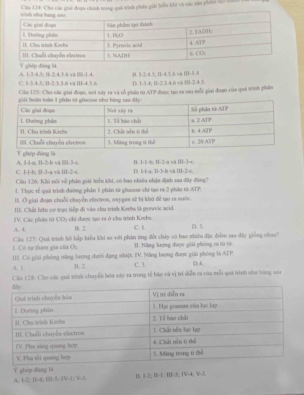 Cho các giai đoạn chính trong quả trình phân giải hiểu khi và các sản phẩm lạo than
Ý ghép đủng là
A. I-3.4.5; II-2.4.5.6 và IIl-1.4. B. I-2.4.5; II-4.5,6 và III-1.4
C. I-3.4.5; II-2.3.5.6 và III-4.5.6. D. I-3.4; II-2.3.4.6 và III-2.4.5.
Câu 125: Cho các giai đoạn, nơi xây ra và số phân tử ATP được tạo ra sau mỗi giai đoạn của quá trình phân
Ý ghép đúng là
A. I-l-a; Il-2-b và III-3-c. B. I-1-b; II-2-a và III-3-c.
C. I-l-b; II-3-a và III-2-c. D. I-l-a; 1l-3-b và III-2-c.
Câu 126: Khi nói về phân giải hiếu khí, có bao nhiêu nhận định sau dây đúng?
I. Thực tế quá trình đường phân 1 phân tử glucose chỉ tạo ra 2 phân tử ATP.
II. Ở giai đoạn chuỗi chuyền electron, oxygen sẽ bị khứ đề tạo ra nước.
III. Chất hữu cơ trực tiếp đi vào chu trinh Krebs là pyruvic acid.
IV. Các phân từ CO_2 chi được tạo ra ở chu trinh Krebs.
A. 4. B. 2. C. 1.
D. 3.
Câu 127: Quá trình hô hấp hiểu khí so với phản ứng đốt cháy có bao nhiêu đặc diểm sau đây giống nhau?
I. Có sự tham gia của O_2. II. Năng lượng được giải phóng ra từ từ.
III. Có giải phóng năng lượng dưới dạng nhiệt. IV. Năng lượng được giải phóng là ATP.
A. 1. B. 2. C. 3. D.4.
Câu 128: Cho các quá trình chuyển hóa xảy ra trong tế bào và vị trí diễn ra của mỗi quá trình như bảng sau
Ý ghép đúng là
A. I-2; II-4; III-5; IV-1; V-3. B. I-2; II-1: III-5; IV-4; V-3.