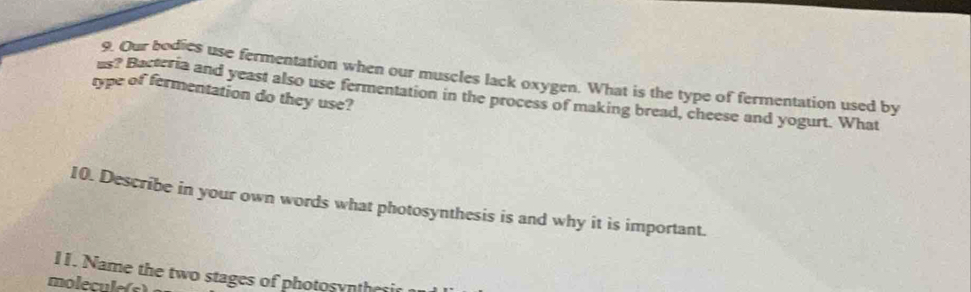 Our bodies use fermentation when our muscles lack oxygen. What is the type of fermentation used by 
type of fermentation do they use? 
us? Bacteria and yeast also use fermentation in the process of making bread, cheese and yogurt. What 
10. Describe in your own words what photosynthesis is and why it is important. 
11. Name the two stages of photosyn the 
molecule(s