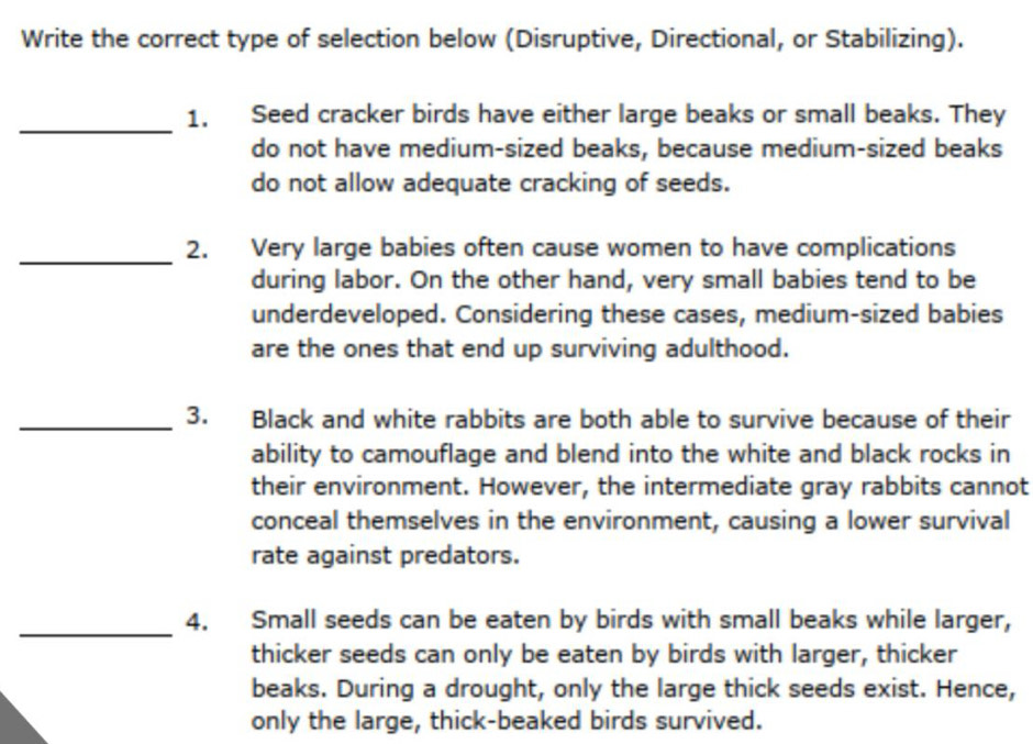 Write the correct type of selection below (Disruptive, Directional, or Stabilizing). 
_ 
1, Seed cracker birds have either large beaks or small beaks. They 
do not have medium-sized beaks, because medium-sized beaks 
do not allow adequate cracking of seeds. 
_ 
2. Very large babies often cause women to have complications 
during labor. On the other hand, very small babies tend to be 
underdeveloped. Considering these cases, medium-sized babies 
are the ones that end up surviving adulthood. 
_3. Black and white rabbits are both able to survive because of their 
ability to camouflage and blend into the white and black rocks in 
their environment. However, the intermediate gray rabbits cannot 
conceal themselves in the environment, causing a lower survival 
rate against predators. 
_ 
4. Small seeds can be eaten by birds with small beaks while larger, 
thicker seeds can only be eaten by birds with larger, thicker 
beaks. During a drought, only the large thick seeds exist. Hence, 
only the large, thick-beaked birds survived.