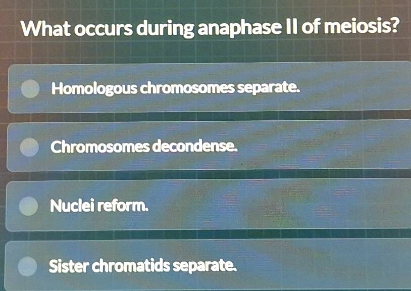Gelöst:What occurs during anaphase II of meiosis? Homologous ...