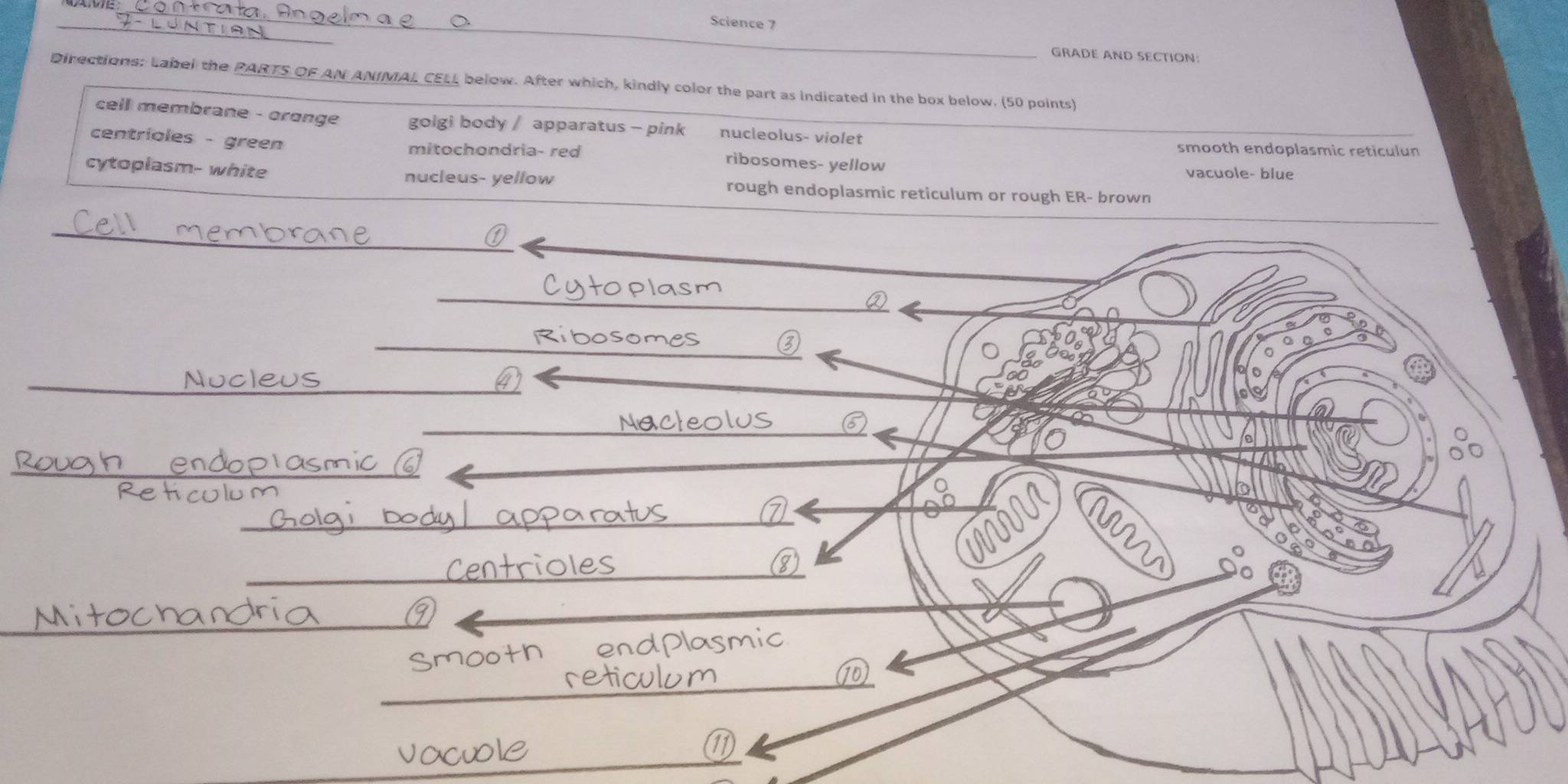 Solved: Science 7 _ _ GRADE AND SECTION Directions: Label the PARTS OF ...