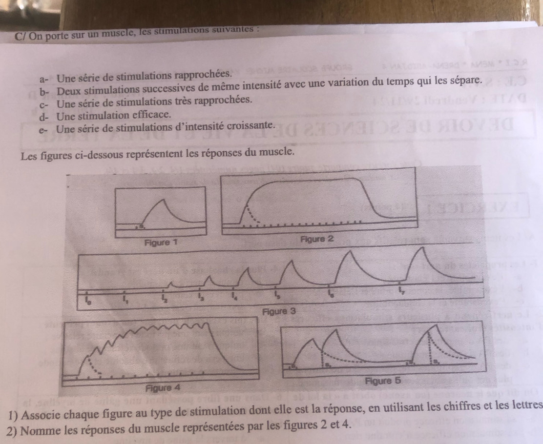 C/ On porte sur un muscle, les stimulations suivantes :
a- Une série de stimulations rapprochées.
b- Deux stimulations successives de même intensité avec une variation du temps qui les sépare.
c- Une série de stimulations très rapprochées.
d- Une stimulation efficace.
C Une série de stimulations d’intensité croissante.
Les figures ci-dessous représentent les réponses du muscle.
ure 3
1) Associe chaque figure au type de stimulation dont elle est la réponse, en utilisant les chiffres et les lettres
2) Nomme les réponses du muscle représentées par les figures 2 et 4.