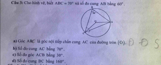 Cho hình vẽ, biết ABC=70° và số đo cung AB bằng 60°.
a) Góc ABC là góc nội tiếp chắn cung AC của đường tròn (O).
b) Số do cung AC bằng 70°.
c) Số đo góc ACB bằng 30°,
d) Số đo cung BC bằng 160°.