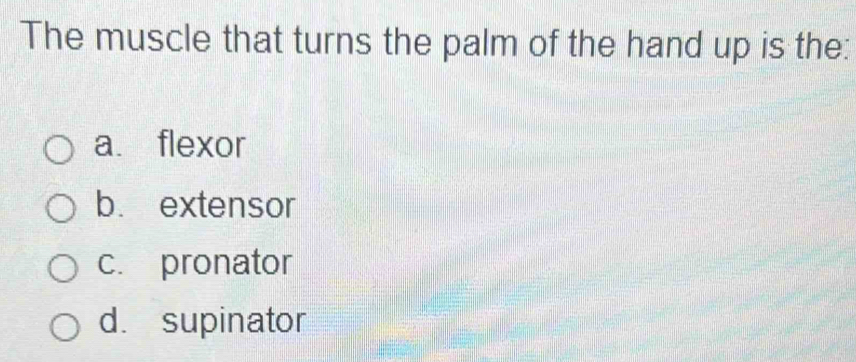 The muscle that turns the palm of the hand up is the:
a flexor
b. extensor
c. pronator
d. supinator