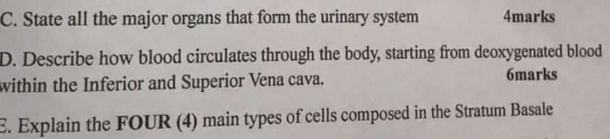 State all the major organs that form the urinary system 4marks 
D. Describe how blood circulates through the body, starting from deoxygenated blood 
within the Inferior and Superior Vena cava. 
6marks 
E. Explain the FOUR (4) main types of cells composed in the Stratum Basale