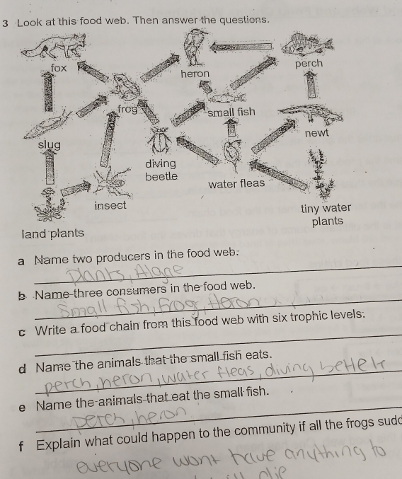 Look at this food web. Then answer the questions. 
_ 
a Name two producers in the food web. 
_ 
b Name three consumers in the food web. 
_ 
c Write a food chain from this food web with six trophic levels. 
_ 
d Name the animals that the small fish eats. 
_ 
e Name the animals that eat the small fish. 
f Explain what could happen to the community if all the frogs sudd