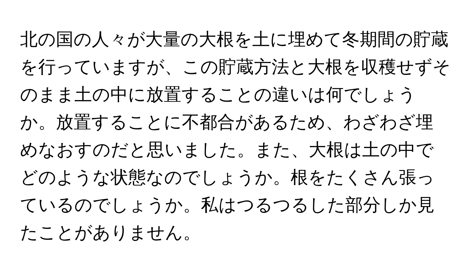 北の国の人々が大量の大根を土に埋めて冬期間の貯蔵を行っていますが、この貯蔵方法と大根を収穫せずそのまま土の中に放置することの違いは何でしょうか。放置することに不都合があるため、わざわざ埋めなおすのだと思いました。また、大根は土の中でどのような状態なのでしょうか。根をたくさん張っているのでしょうか。私はつるつるした部分しか見たことがありません。