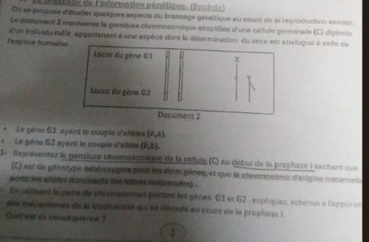 Le présssge de l'information pénétique. (Spoints) 
On se propose d'étudier quelques aspects du brassage génétique au cours de la reproduction sexuée. 
Le document 2 représente la garniture chromosomique simplifiée d'une cellule germinale (C) diploide 
d'un individu mâle appartenant à une espèce dont la détermination du sexe elogue à celle de 
'espèce humaine . 
. Le gène G1 ayant le couple d'allèles (A,a). 
* Le gène G2 ayant le coupie d'allèle (B,b). 
S - Rteprésentez la garniture chromosomique de la cellule (C) au début de la prophase I sachant que 
(C) est de génotype hétérozygete pour les deux gènes, et que le chromosome d'origine maternelle 
ports les allètes dominants (en lettres majuscules) 
En ousant la paire de chromosomes portant les gènes G1 et G2 , expliquez, schéma a l'appui un 
des mécsnismes de la biodiversité qui se déroule au cours de la prophase L 
Quel eet sa conséquence ?