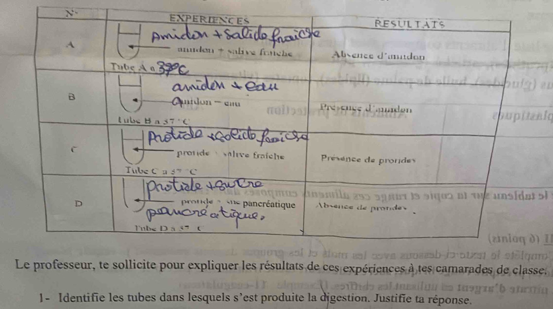 si 
Le professeur, te sollicite pour expliquer les résultats de ces expériences à tes camarades de classe. 
]- Identifie les tubes dans lesquels s’est produite la digestion. Justifie ta réponse.