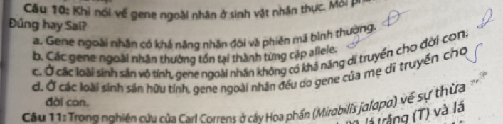 Khi nói về gene ngoài nhân ở sinh vật nhân thực. Mo '
Đúng hay Sai?
a. Gene ngoài nhân có khả năng nhân đôi và phiên mã bình thường.
b. Các gene ngoài nhân thường tồn tại thành từng cập allele.
c. Ở các loài sinh sản vô tính, gene ngoài nhân không có khả năng di truyền cho đời con.
d. Ở các loài sinh sản hữu tính, gene ngoài nhân đều do gene của mẹ di truyền cho
Câu 11:Trong nghiên cứu của Carl Correns ở cáy Hoa phần (Mirabilis jalapo) về sự thừa đài con.
) lá trắng (T) và là