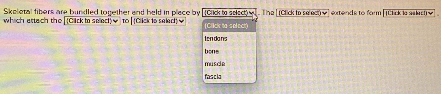 Skeletal fibers are bundled together and held in place by (Click to select) . The (Click to select)] extends to form (Click to select)] ,
which attach the (Click to select)✔] to [(Click to select)] (Click to select)
tendons
bone
muscle
fascia